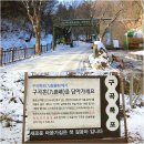 춘천 구곡폭포가 보여준 겨울의 꽃인 화려한 빙폭을 만나다(1/12). 이미지