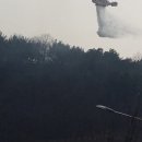 금산군축구장 이미지