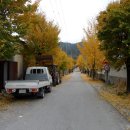 수동초등학교 이미지