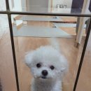 미장원by지은