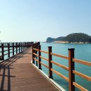 세종 행정사 사무소 이미지