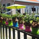 방산농장 이미지