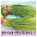 고흥석류피칸농장법인 | [깜짝 마늘쫑 이벤트 5분 뽑아요~!!] 싱싱한 마늘쫑 선물 감사해요 ^^