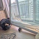 헤어봄 | 화성시 샷시모헤어 교체 봄먼지 잡는 현장 후기