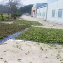 시장이반찬이다 이미지