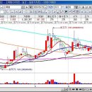 선우 소프트 이미지