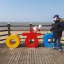 벤지 펜션 이미지