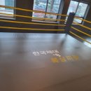 한국체대 복싱 이미지