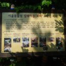 청계산 등산로 이미지