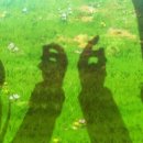 에이티눈 이미지