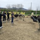 담안농장 이미지