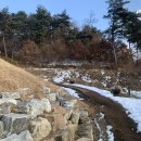 파파홈예산 이미지