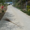 태산농장 2 이미지