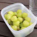 서진농장2 이미지