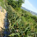 만물마트 이미지