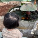 신촌농장 | 순천 아이와 가볼 만한 곳! 미니 동물농장이 있는 마당 넓은 ‘카페 소목’