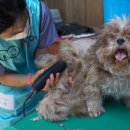 메디 포즈 동물병원 이미지