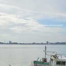 동대전수산 네이버블로그