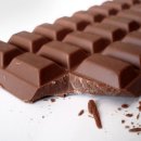 영등포 우신종합 동물병원 이미지