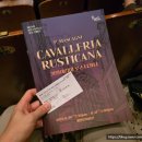 오페라 카발레리아 루스티카나 | 오페라 『카발레리아 루스티카나』 소개, 시놉시스 및 관람 후기