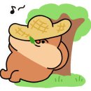 도이세라믹 이미지