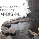 여행과치유 이미지