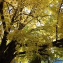 하곡마을 이미지