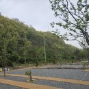 연천도서관 | 넓고, 놀거리가 많은 &#39;연천 오캄캠핑장&#39; 내돈내산 후기! (명당, 개별화장실, 계곡, 미니 도서관 등)