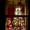 불로만 바베큐 이미지