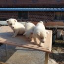 원하농장 이미지