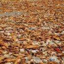 천안OK캠핑 이미지