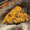 건산로 | 전주 인후동 소고기 맛집, 율담 방문 후기!