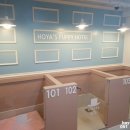 호야네애견샵 이미지