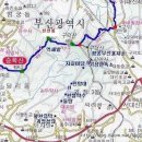 유명꽃마을