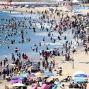 해운대해수욕장 이미지