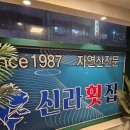 광안리 신라횟집 | 제주보다 어려운 부산 혼밥, 혼밥 가능한 부산 광안리 신라횟집 물회 추천해요