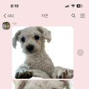 스튜디오그레이 이미지
