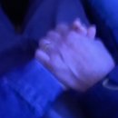 삼나무집펜션 | 아직도 아가라고 불리는 삼십대 캥거루의 제주도 여행기(1)