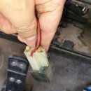 서울어린이대공원동물병원 이미지