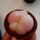 유리카모메 이미지