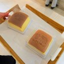 하레하레 이미지