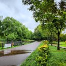 시민근린공원 건너편 이미지