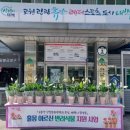 철암동행정복지센터 | 태백시 철암동행정복지센터, 어르신 마음 돌봄 ‘반려식물 지원 사업’ 추진