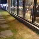 로히메르시 이미지