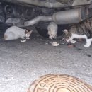 위태경로당 이미지