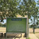 맥도생태공원야구장 네이버블로그