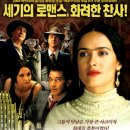프리다 - 용인시 처인구 금어로 317 | 프리다