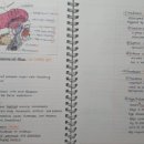 가톨릭대학교 상담심리대학원 이미지