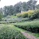 항몽유적지 이미지