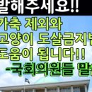 이상돈농장 이미지